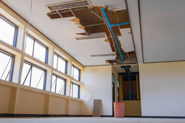 Best Water damage cleanup near me  in Bicknell, IN