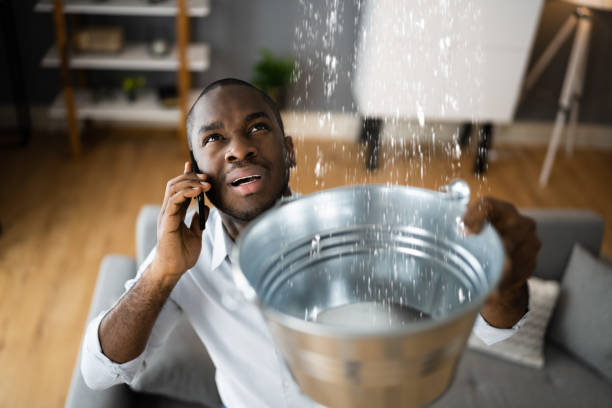 Best Carpet water damage restoration  in Bicknell, IN