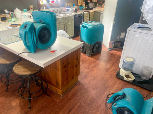 Best 24/7 water damage repair  in Bicknell, IN