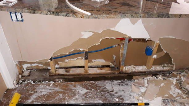 Best Flood restoration services  in Bicknell, IN