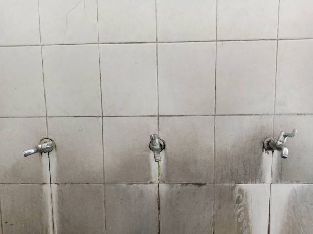 Best Water damage restoration near me  in Bicknell, IN