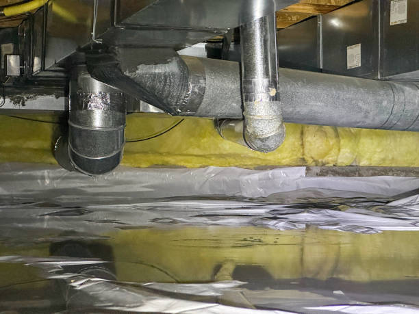 Best Fire Damage Restoration  in Bicknell, IN