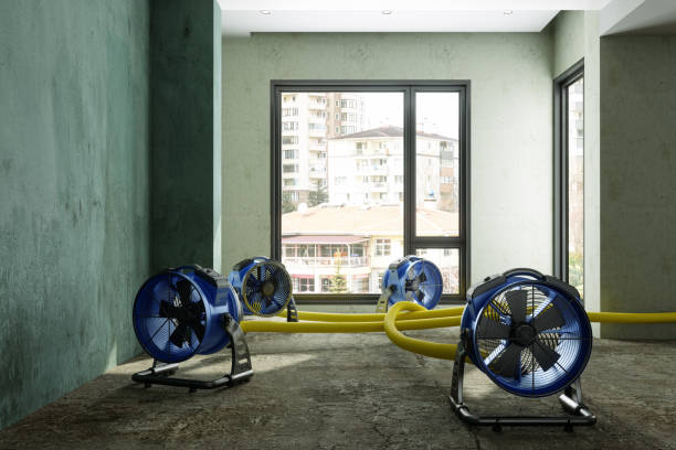 Best Water damage restoration mold remediation  in Bicknell, IN